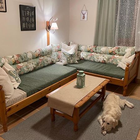 Hundefreundliche Bergwohnung Neben Der Skipiste - Mittelstation Skigebiet Gerlitzen Kanzelhohe 외부 사진