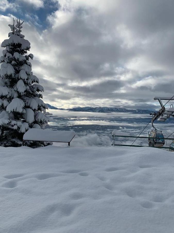 Hundefreundliche Bergwohnung Neben Der Skipiste - Mittelstation Skigebiet Gerlitzen Kanzelhohe 외부 사진
