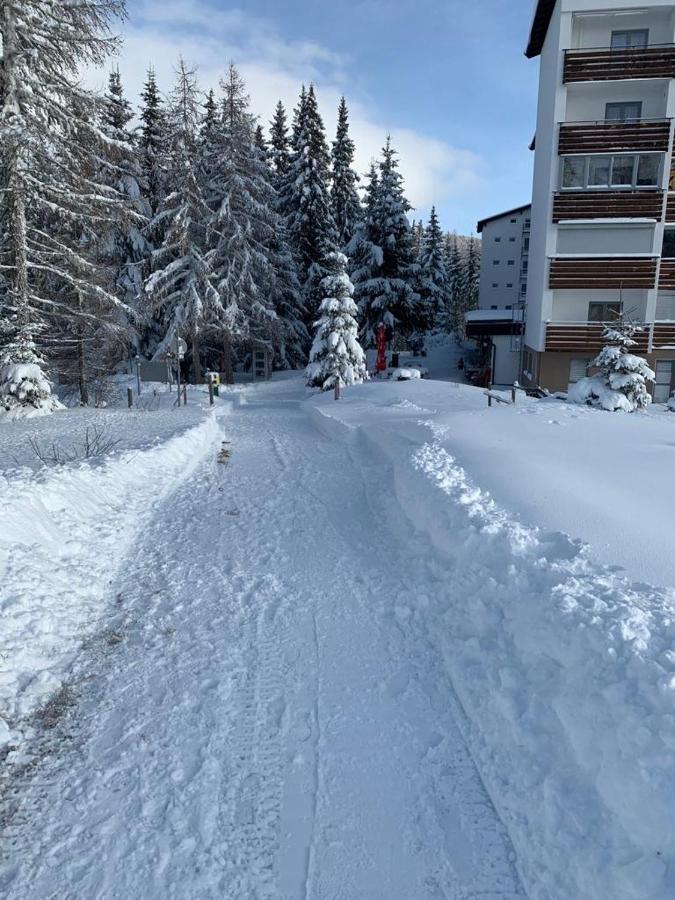 Hundefreundliche Bergwohnung Neben Der Skipiste - Mittelstation Skigebiet Gerlitzen Kanzelhohe 외부 사진