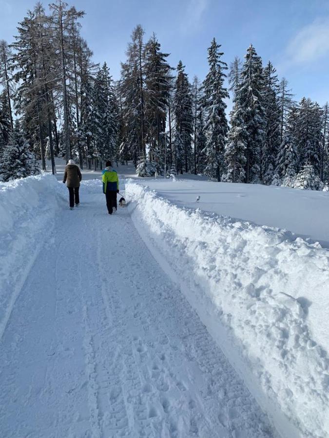 Hundefreundliche Bergwohnung Neben Der Skipiste - Mittelstation Skigebiet Gerlitzen Kanzelhohe 외부 사진