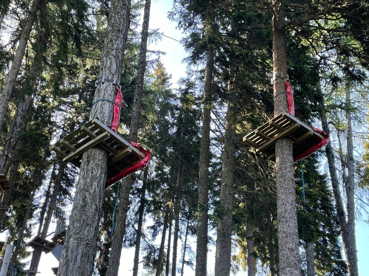 Hundefreundliche Bergwohnung Neben Der Skipiste - Mittelstation Skigebiet Gerlitzen Kanzelhohe 외부 사진